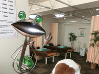 大家さんに頂きました